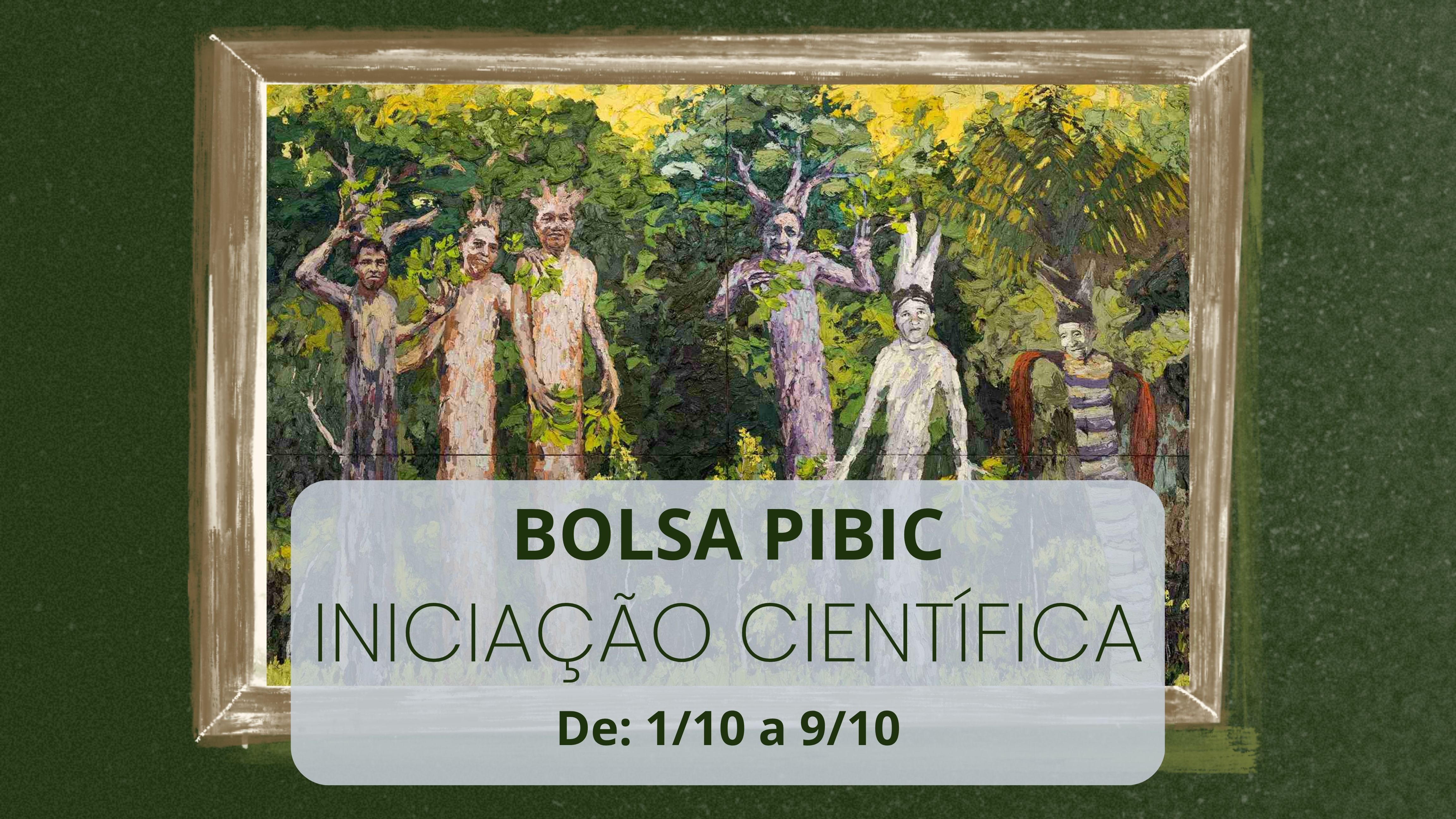 Bolsa PIBIC / Iniciação Científica